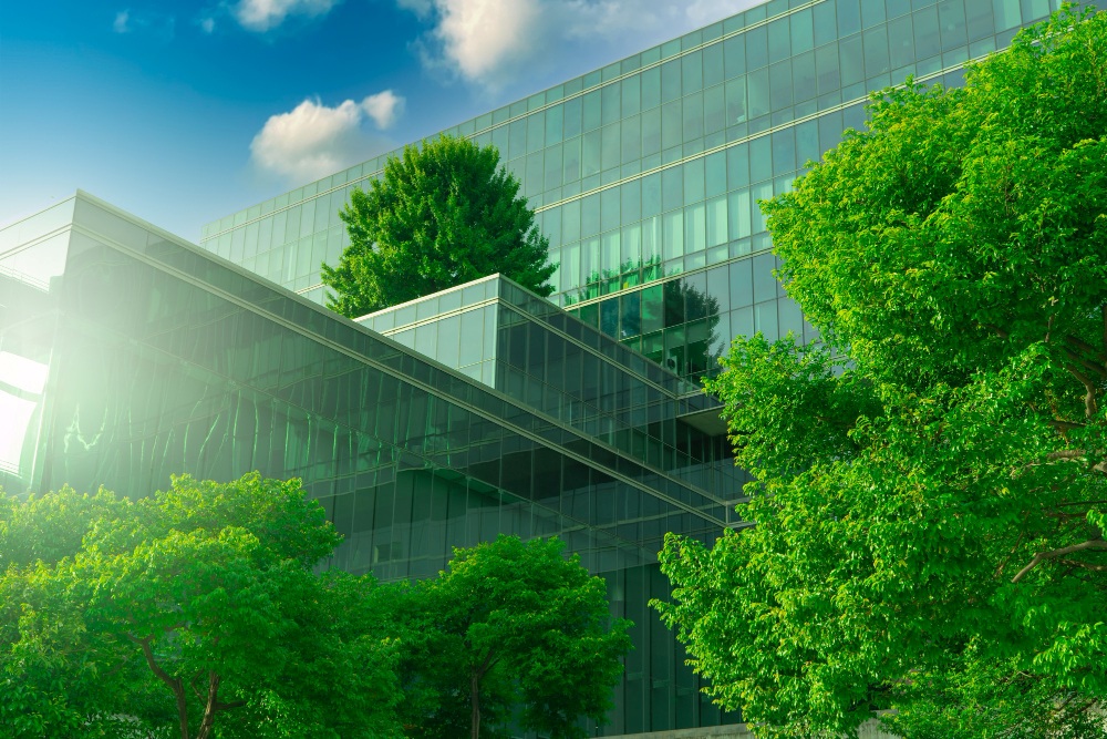 Eco-Friendly Building Materials: Paving the Way for Sustainable Construction